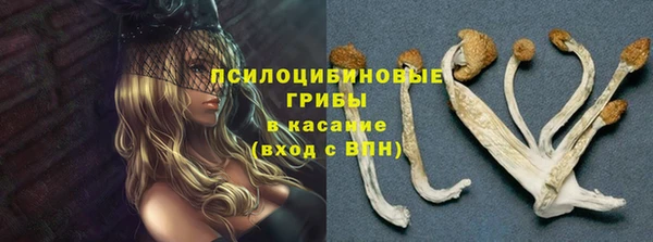 гидра Нефтегорск