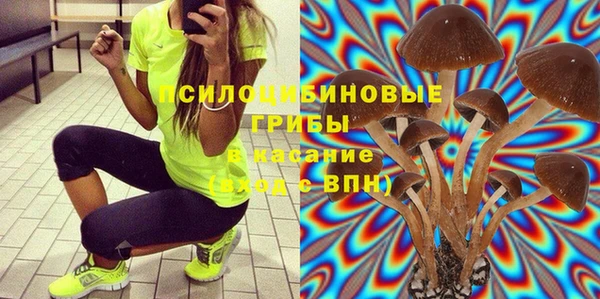 гидра Нефтегорск