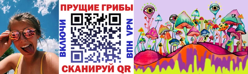 закладки  Партизанск  Галлюциногенные грибы мухоморы 