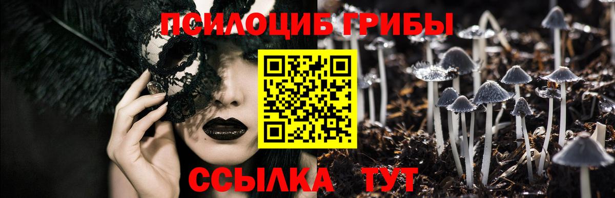 Галлюциногенные грибы Cubensis Партизанск