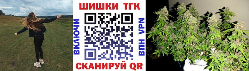 Бошки Шишки семена  Партизанск 